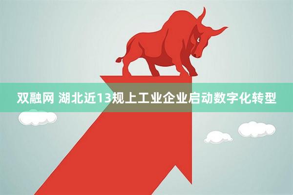 双融网 湖北近13规上工业企业启动数字化转型