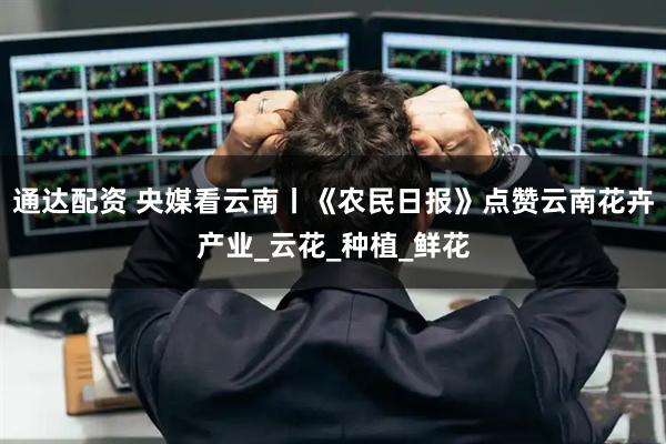 通达配资 央媒看云南丨《农民日报》点赞云南花卉产业_云花_种植_鲜花