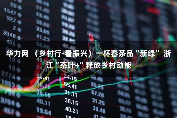 华力网 （乡村行·看振兴）一杯春茶品“新绿” 浙江“茶叶+”释放乡村动能