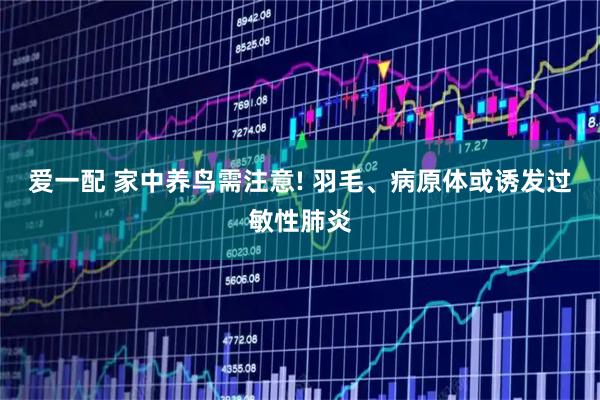 爱一配 家中养鸟需注意! 羽毛、病原体或诱发过敏性肺炎
