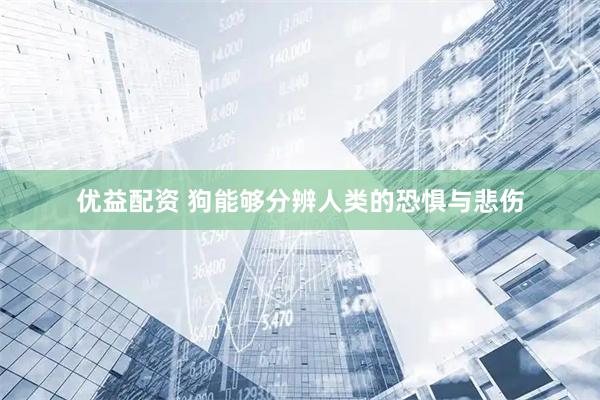 优益配资 狗能够分辨人类的恐惧与悲伤